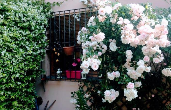 Appartamento La Terrazza Di Dora Menaggio Zewnętrze zdjęcie